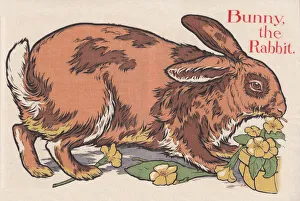 Berkeley Prints: Rabbit