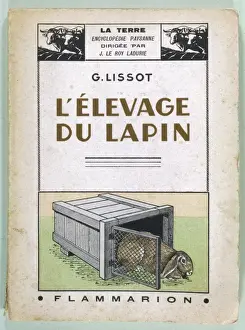 Emerges Prints: Rabbit Care Handbook
