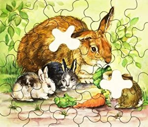 Images Dated 29th November 2007: Rabbit family jigsaw