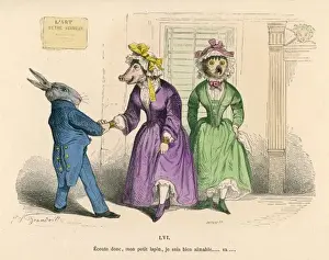 Rabbit and Pig
