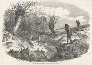 Rabbit Shooting