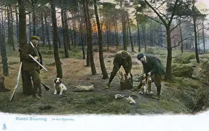 Pursuits Prints: Rabbit Shooting in the Spinney