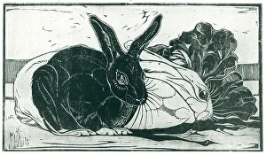 Nestled Prints: Rabbits