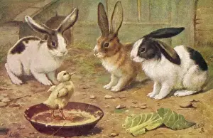 Cabbage Prints: Rabbits & Chick 1920S