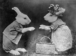 Images Dated 28th March 2012: Rabbits and Handbag
