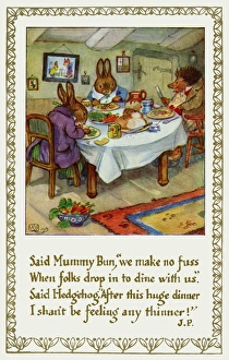Rabbits & hedgehog