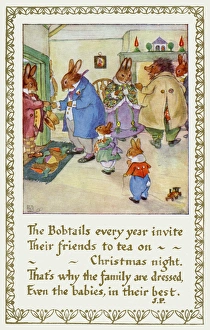 Rabbits & hedgehog