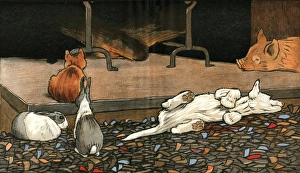 Rufus Gallery: The rabbits join the other animals by the fire