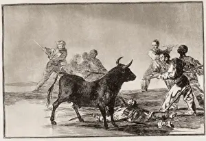 Lances Prints: The rabble hamstring the bull with lances, sickles, banderil