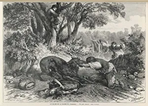 Agony Collection: RABIES/BITTEN/LIS/1874