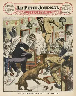 Rabies / Bitten / Petit J