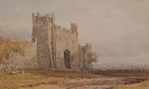 Raby Castle, Co. Durham