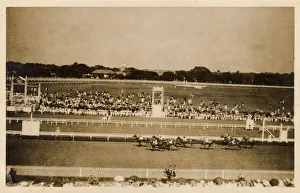 Images Dated 21st November 2018: Racecourse in Australia or New Zealand