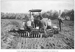 Authorities Prints: Racecourse Plowed