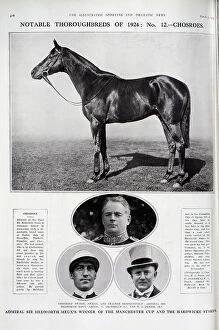 Archibald Collection: The Racehorse Chosroes