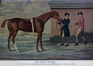 Equestrian Prints: The Racehorse Eclipse
