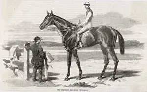 Thoroughbred Prints: RACEHORSE FISHERMAN