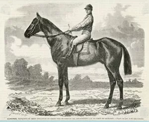 1862 Collection: RACEHORSE GLADIATEUR