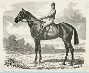 1866 Gallery: RACEHORSE GLADIATEUR