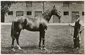 Racehorse Just Cause owned by the Duke of Westminster