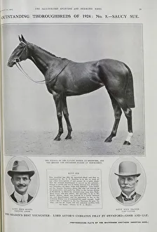 Horseracing Prints: Racehorse Saucy Sue