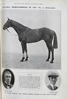Racehorse Scullion