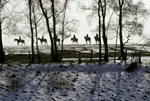 Contre Collection: Racehorses exercising in the snow, Staffordshire, England