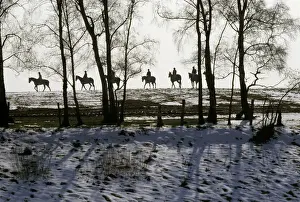 Sunny Prints: Racehorses exercising in the snow, Staffordshire, England