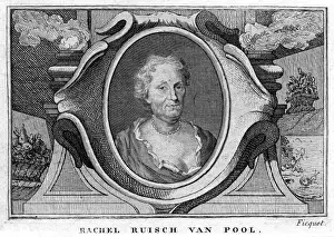1664 Prints: Rachel Van Pool