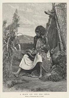 Aborigines Gallery: Racial / Aborigine 1891