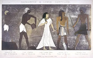 Amun Gallery: RACIAL / AFRICA / EGYPT / TOMB