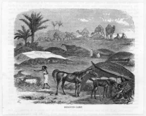Tended Prints: Racial / Arabs / Bedouin