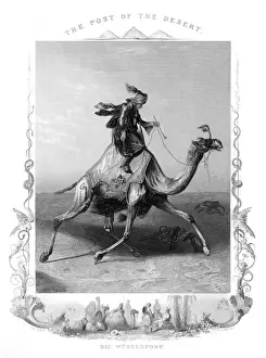 Racial / Arabs / Camel 19C