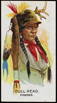 Pawnee Prints: Racial / Bull Head / Pawnee
