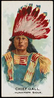 Racial / Chief Gall / Sioux