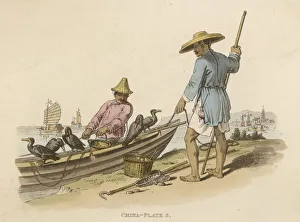 Fishing W.Cormorants