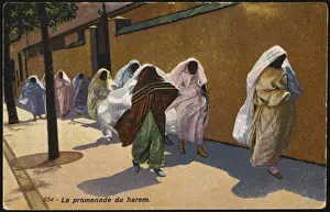 Racial / Egypt / Harem Women