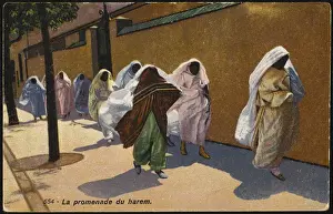 Egypt Prints: RACIAL / EGYPT / HAREM WOMEN