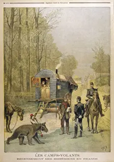Census Prints: Racial / Gipsies / Census