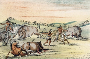 Hunting/Buffalo