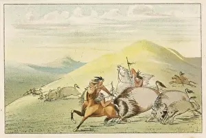 Racial / Hunting Buffalo