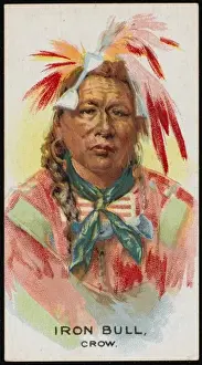 Racial / Iron Bull / Crow