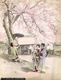 Images Dated 1st March 2019: RACIAL / JAPAN / GEISHAS