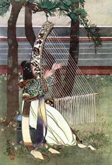 Racial / Japan / Lady 8C
