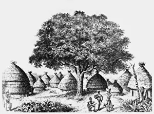 Racial / N Africa / Bongo