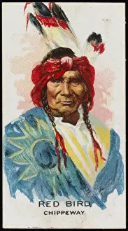 Chippeway Prints: Racial / Red Bird / Chippewa