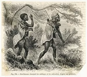 Antelopes Gallery: Racial /s Africa / Bushmen