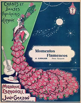 Guitar Collection: Racial / Spanish Flamenco