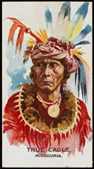 Racial / True Eagle / Missou
