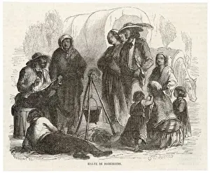 Racial Types / Gipsies